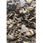 Thai Black Ginger Extract 5%-10% 5,7-Dimethoxyflavone powder for sale