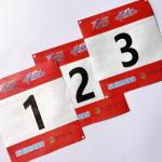 Customized Full Color LOGO Waterproof Tyvek Bib Numbers Training Bib Numbers Race Bib Numbers For Marathon Free Pins for sale