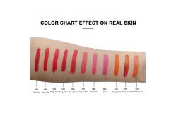 China ODM 1000ml Lip Permanent Makeup Pigments Liquid For Machine supplier