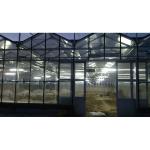 Single/Double Layer Agriculture Greenhouse Hydroponics With Plastic Film