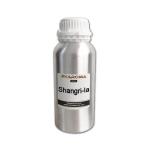 Hotel Aromatherapy Aroma Diffuser Essential Oil Liquid Sustainable for sale