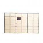 Automated Logistics Parcel Delivery Lockers Luggage Parcel Locker For Community Company School for sale