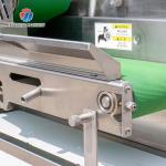 1200KG/H Vegetable Processing Machine Agricultural Automatic Fruit Cutter