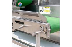 China 1200KG/H Vegetable Processing Machine Agricultural Automatic Fruit Cutter supplier