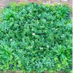 100cm*100cm Size Wall Fake Grass Highly Realistic Appearance for sale