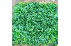 China 100cm*100cm Size Wall Fake Grass Highly Realistic Appearance supplier