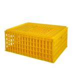 8-10 Chickens Poultry Carrier Crate Pp For Transportation for sale
