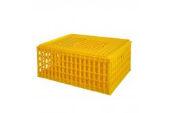 China 8-10 Chickens Poultry Carrier Crate Pp For Transportation supplier