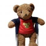 18cm 200g Nigger Brown Rose Velvet Teddy Bear Plush Doll Dressed Cute Cuddly Toy for sale