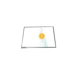 6.0 inch lcd screen 1080*2160 LPP060A519A for Mobile Phone for sale