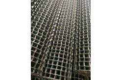 China                  SGS/CE Stainless Steel Wire Mesh Belt/ Conveyor Belt/ Wire Mesh Belt              supplier