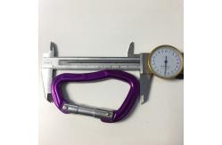 China Quick Link Aluminum Snap Hook Carabiner Hook Colorful supplier