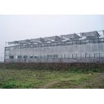 Transparent, Easy-Assemble Galvanized VENLO Greenhouses For Efficient High-Value Agriculture