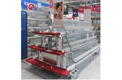 China Egg Laying Chicken Coop 160 chickens Poultry Chicken Cages For Animal Feeder supplier