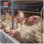 Poultry Broiler Chicken Coop Hot Dip Galvanized Chicken Cage for sale