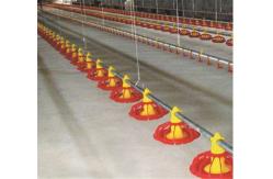 China Plastic Poultry Nipple Drinker For Broiler Chicken supplier