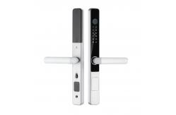China IP65 Waterproof Smart Tuya Wifi Remote Control TTlock App Digital Door Lock supplier