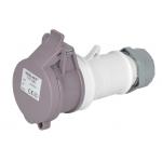 Durable IP44 2P 24V 32A Industrial Low Voltage Connector IEC Standard for sale