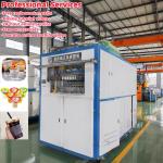 Automatic Plastic Cup Thermoforming Machine with PLC Control Gear Drive System