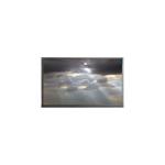 4.3 inch 480*272 AM-480272Q2TZQW-T01H-L LCD Screen FOR Automotive Display for sale