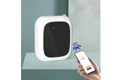 China HOMEFISH Nano Spray Big Scent Diffuser Machine For Living Room 150ml supplier