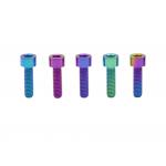 M5 Socket Head Titanium Hex Screw Gr5Alloy Natural Customized Variety Length / Color for sale