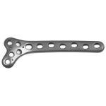 Plate and Screw Femur Condylus Buttress Plates(L/R) Titanium Implant for sale