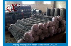 China Hot Dipped Galvanized Chain Link Fencing , Chain Link Wire Fence For Park supplier