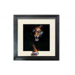 Running Horse Image 3D Lenticular Printing Service MDP Frame 5D Effect