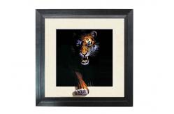 China Running Horse Image 3D Lenticular Printing Service MDP Frame 5D Effect supplier