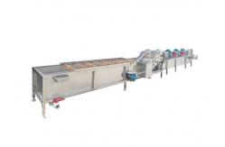 China Ss304 1500kg/H Fruit And Vegetable Processing Machine supplier