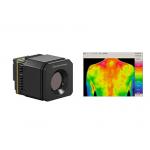 400x300 17μm Thermal Camera Core Thermal Imaging Fever Screening System for sale
