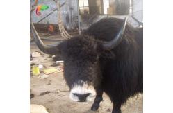 China Customized Lifelike Animatronics Robotic Animal Wild Yak Replications For Exhibition supplier