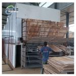 Industrial Wood Veneer Dryer For Large Scale Drying Operations for sale