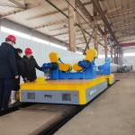 Heavy Industry Material Handling Trolley for sale