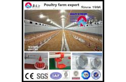 China OEM Standard Poultry House Steel Structure With Sliding Windows supplier