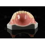 Lucitone 199 Full Denture Acrylic Teeth Heat Curing Acrylic Complete Denture for sale