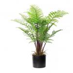 Height 80cm Artificial Potted Floor Plants For Home Office Table Decoration Nordic Fern for sale