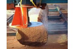 China DS2000 Double Circular Sawmill 2000mm Electric Swing Blade Sawmill supplier