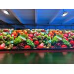 P6 SMD3528 Full Color Rental LED Video Wall/LED Video Display Panel 384mm X192mm for sale
