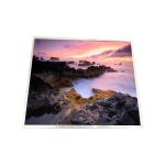 LQ190E1LW72 19.0 inch lcd screen display 1280*1024 lcd display panel WLED for sale