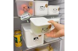 China Plastic Bulk Kitchen Supplies Fruit And Vegetable Containers For Fridge supplier