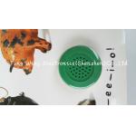 Indoor Children Button Sound Book with 33mm Round Custom Sound Module for sale