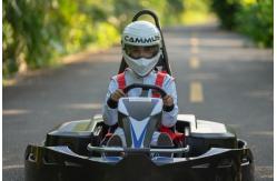 China ISO9001 36 Volt Amusement Park Go Kart With 5 Inches Hub supplier