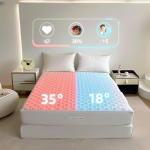 OEM Dual Zones Control Bed And Blanket Cooling System Warm And Safe Pod Bed Pad For Winter And Summer Mattress Topper for sale