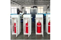 China HFC-227ea Automatic FM200 Gas Suppression System For Industrial Electrical Rooms supplier