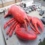 10ft  Customized Giant Inflatable Lobster For Party / Event / Theater for sale