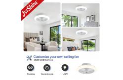 China Low Profile Adjustable Light Ceiling Fan With Remote Control supplier