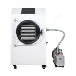 220V PLC Freeze Dryer SUS 304 For Food Fruit And Vegetables freeze dry machine for sale