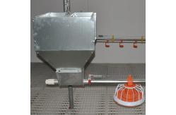 China Complete Auto Broiler Poultry Farm System For Chicken Water supplier